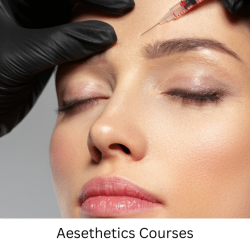 Aesethetics Courses