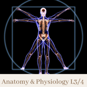 Anatomy & Physiology