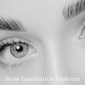 Brow Lamination Course