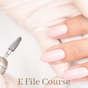 E-File Course