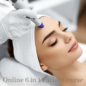 Online 6 in 1 Facial Course