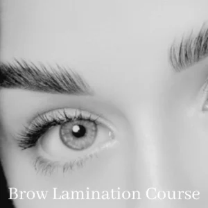 Online Brows Lamination Course