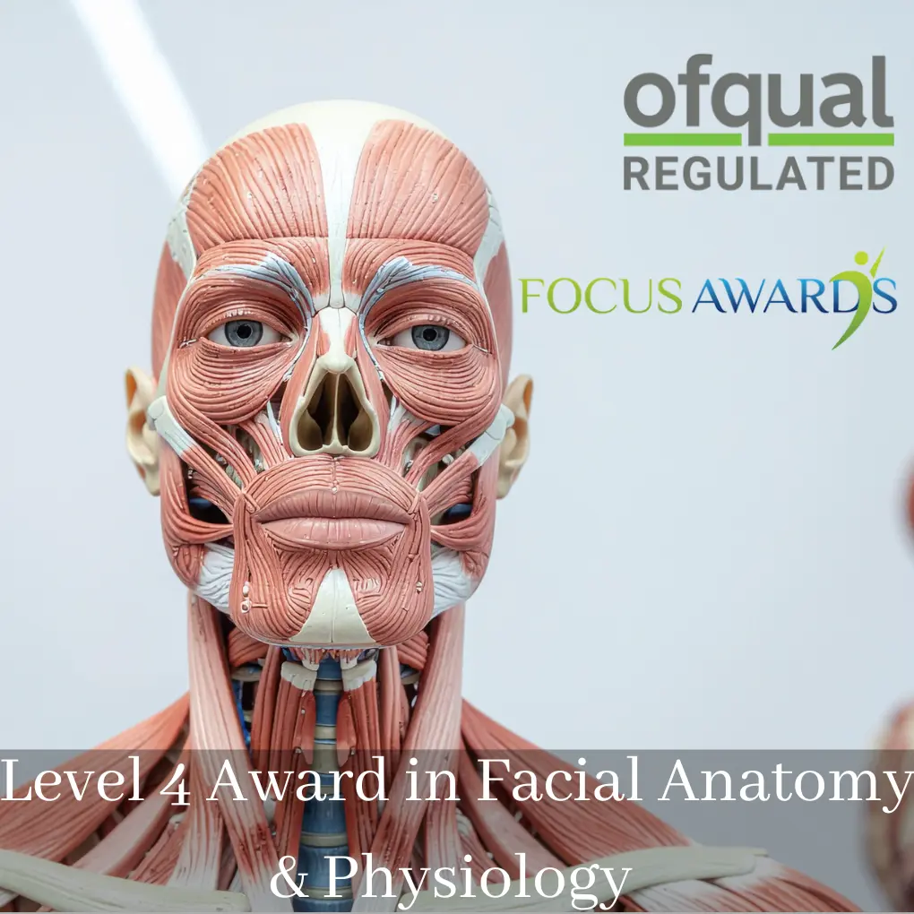 Level 4 Award in Facial Anatomy & Physiology